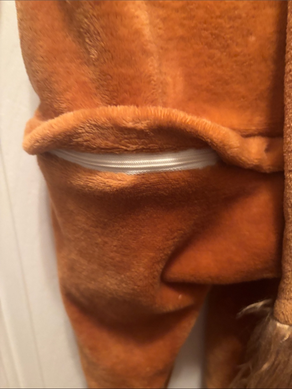 Lion Costume - Picture 4 of 4